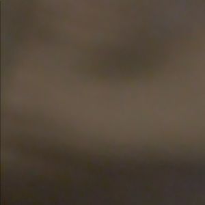 Meet your Posher, Bruce